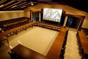 Отель Gorgany resort & SPA. Конференц Зал 200-местный  2