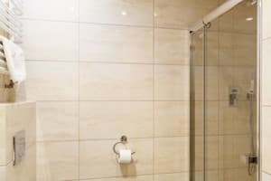 Отель Gorgany resort & SPA. Стандарт двухместный STD DBL/STD TWIN 2