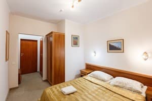 Отель Gorgany resort & SPA. Стандарт двухместный STD DBL/STD TWIN 5