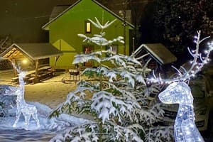 Коттедж Gorianka Hotel. Коттедж 12-местный Горянка 8