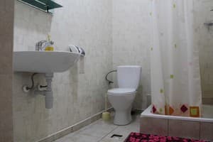 Горная Лилия 17