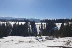 Горный воздух 15