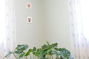 Частная усадьба Green House. Эконом двухместный  5