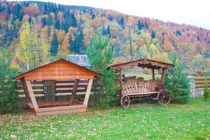 Гуцульські барви 12