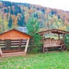 Гуцульські барви 12-13/13