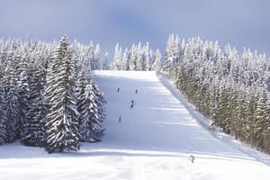 Гуд Зон Хаус 6