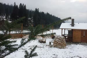 Гуд Зон Хаус 9