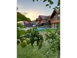 Guest House Sofia 3