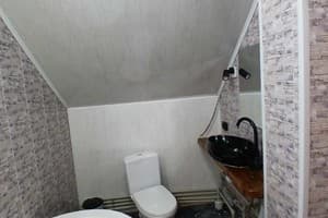 Хата в Карпатах  17