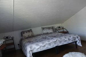 Хата в Карпатах  5