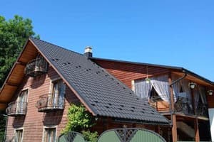 Хата в Карпатах  1