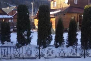 Хатина мисливця 4