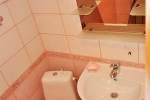 Частная усадьба Хатина мисливця. Коттедж 13-местный (13+3) 13