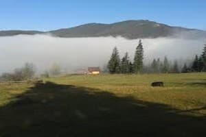 Хатки на пеньках 7