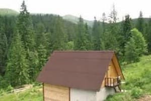 Хатки на пеньках 2