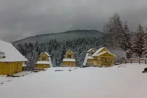 Хатки на пеньках 7