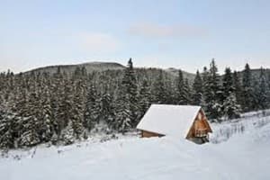 Хатки на пеньках 8