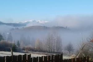 Хатки на пеньках 9