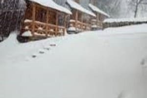 Хатки на пеньках 10