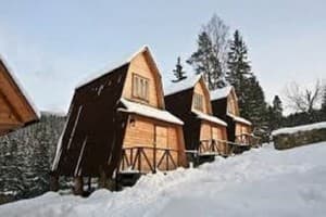 Хатки на пеньках 11