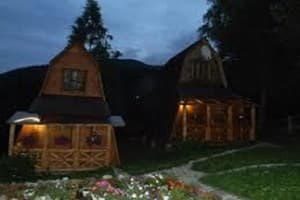 Хатки на пеньках 5