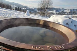 Хатки на пеньках 13