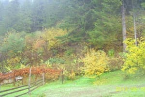 Хижина Гуцула 7