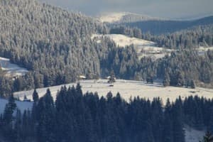 Хижина Гуцула 14