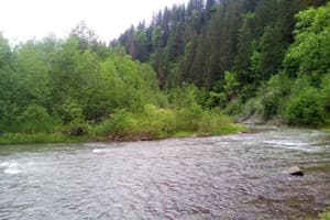 Хижина Гуцула 20