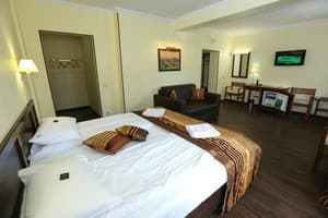 Отель Home Hotel. Комфорт двухместный + 2 доп. места 3