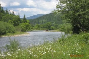 Хуторянка 10