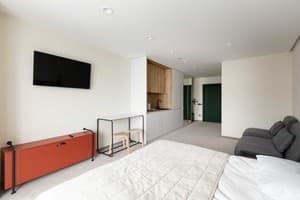 Спа-отель Хвоя. Апартаменты двухместный PREMIUM APARTMENT MOUNTAIN VIEW (корпус 2)  3