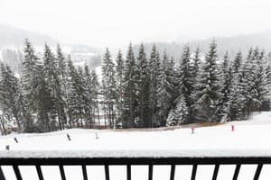 Спа-отель Хвоя. Апартаменты двухместный PREMIUM APARTMENT MOUNTAIN VIEW (корпус 2)  5