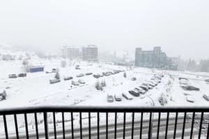 Спа-отель Хвоя. Апартаменты двухместный SUPERIOR APARTMENT (корпус 2) 5