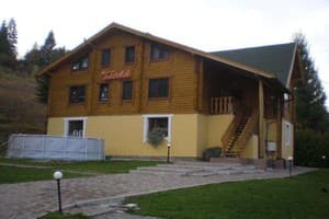 Илона 2