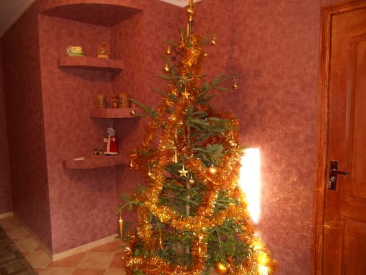 Частная усадьба Иванна