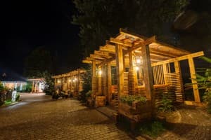 Живая вода 20