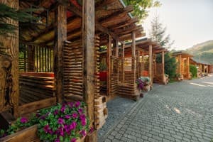 Живая вода 22