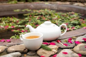 Живая вода 26