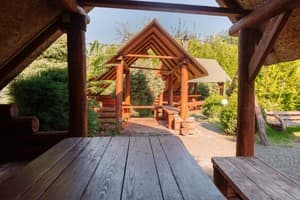 Живая вода 24