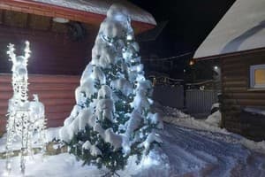 Как дома 20