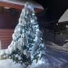 Как дома 20-21/29