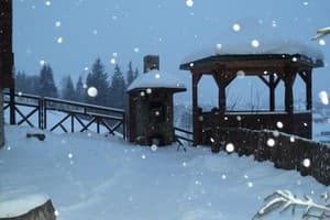 Отель Калина