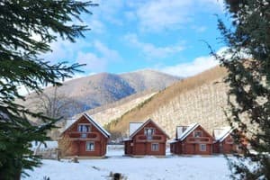 Карпати Fest 1