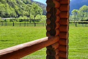 Коттедж Карпати Fest. Коттедж 8-местный  7