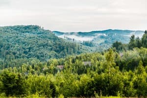 Карпаты Мигово 20