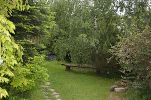 Карпатия 25