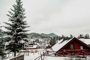 Карпатська Вежа 12