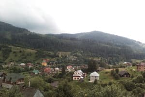 Карпатская Арника 12