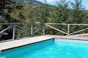 Частная усадьба Карпатская Арника